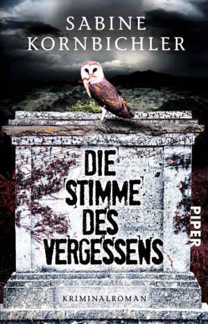 Book cover of Die Stimme des Vergessens