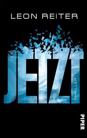 Cover of the book Jetzt by Chris Pavone
