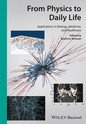 Cover of the book From Physics to Daily Life by Elaine Biech