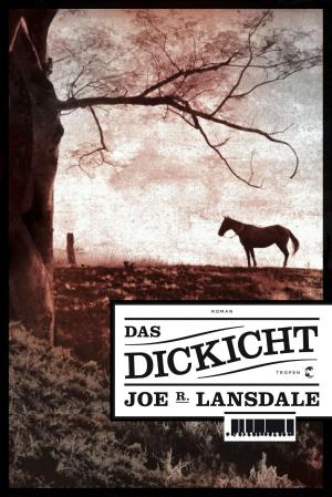 Cover of the book Das Dickicht by Jonathan Lethem