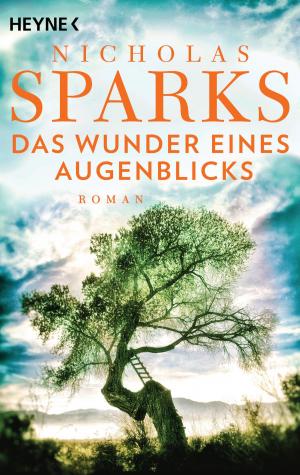 Cover of the book Das Wunder eines Augenblicks by Nora Roberts