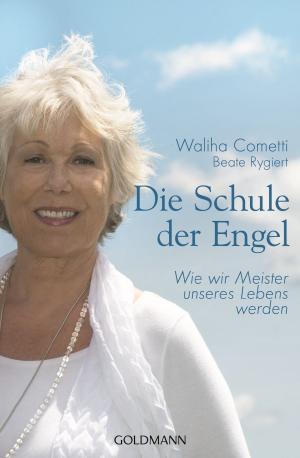 Cover of the book Die Schule der Engel by Roman Maria Koidl