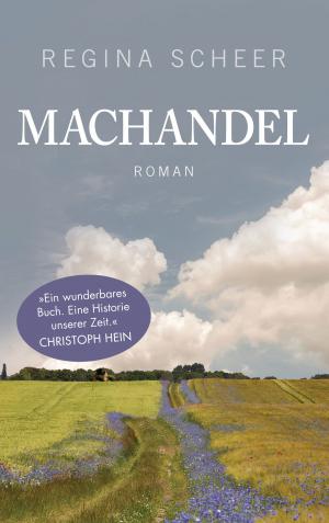 Cover of the book Machandel by Philipp  Meyer