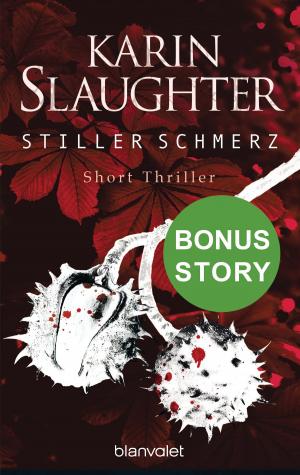 Cover of the book Stiller Schmerz by Sophie Bonnet