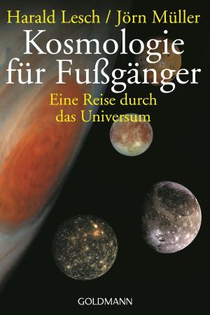 Cover of the book Kosmologie für Fußgänger by Stuart MacBride