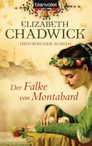Book cover of Der Falke von Montabard