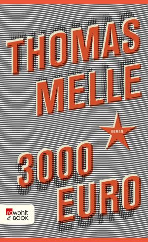 Cover of the book 3000 Euro by Naoki Higashida