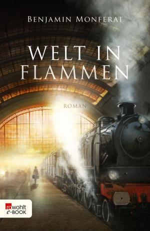 Cover of the book Welt in Flammen by Johann Wolfgang von Goethe, Mary E. Wilkins-Freeman, Graham Greene, H. R. Wakefield, Francis Marion Crawford, Jean Ray, W. W. Jacobs, W. T. A. Hoffmann, Montague Rhodes James, Ambrose Bierce