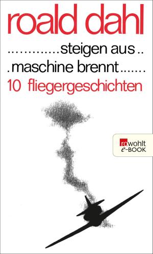 Cover of the book ... steigen aus ... maschine brennt ... by Mario Puzo