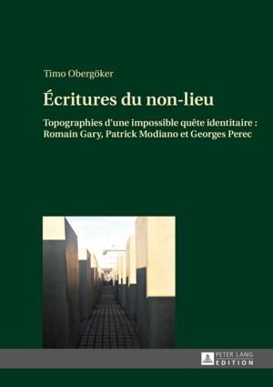 Cover of the book Écritures du non-lieu by Christian Moritz Schulte