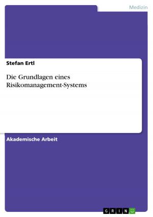 Cover of the book Die Grundlagen eines Risikomanagement-Systems by Tobias Lampka