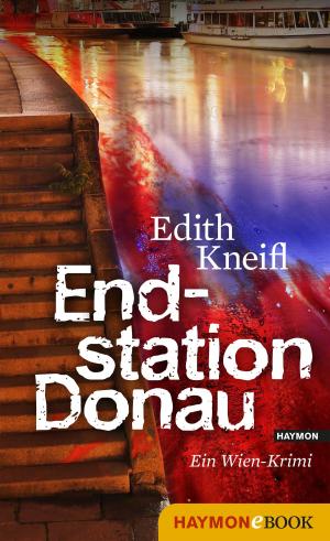 Cover of the book Endstation Donau by Lukas Morscher