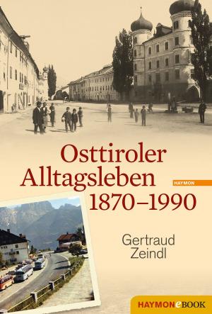 Cover of the book Osttiroler Alltagsleben 1870-1990 by Manfred Rebhandl