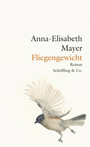 Cover of the book Fliegengewicht by Rebecca Rohman