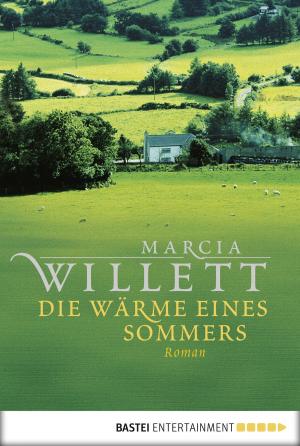 Cover of the book Die Wärme eines Sommers by Simon Toyne