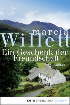 Cover of the book Ein Geschenk der Freundschaft by Andreas Kufsteiner