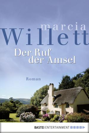 Cover of the book Der Ruf der Amsel by Nora Lämmermann, Simone Höft