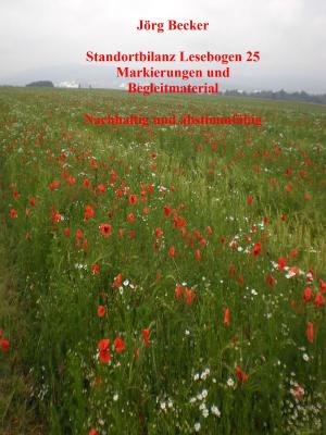 Cover of the book Standortbilanz Lesebogen 25 Markierungen und Begleitmaterial by Romy Fischer