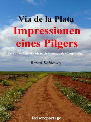 Book cover of Via de la Plata – Impressionen eines Pilgers