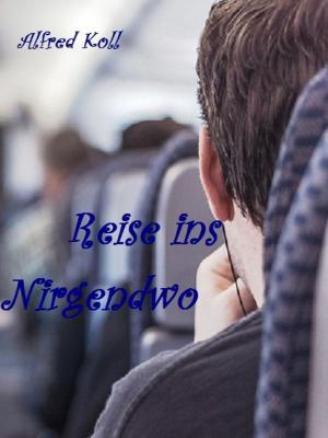Cover of the book Reise ins Nirgendwo by Malen Radi