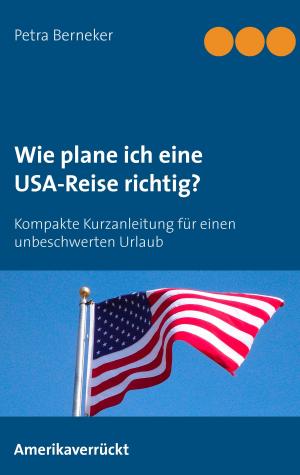Book cover of Wie plane ich eine USA-Reise richtig?