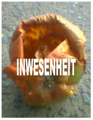 Cover of the book Inwesenheit by Jörg Becker