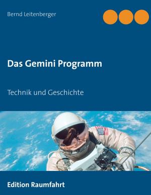 Cover of the book Das Gemini Programm by Dirk Mayer