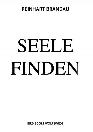 Book cover of Seele finden