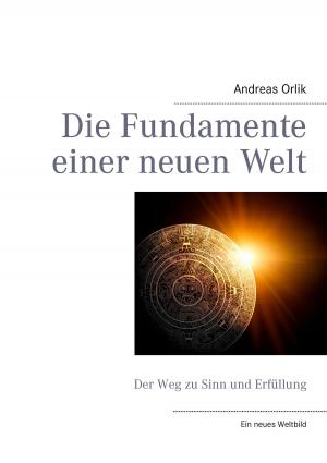 Cover of the book Die Fundamente einer neuen Welt by Jürgen Wittke