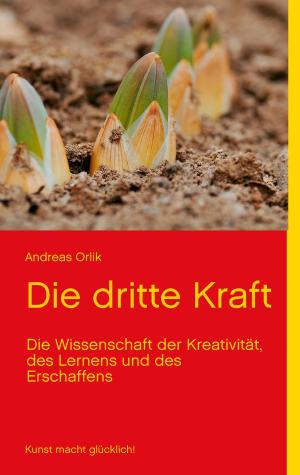Cover of the book Die dritte Kraft by Michael Dollinger