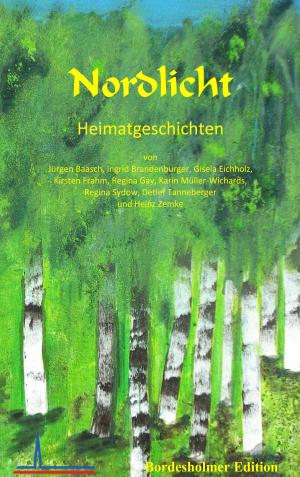 Cover of the book Nordlicht by I. M. Simon