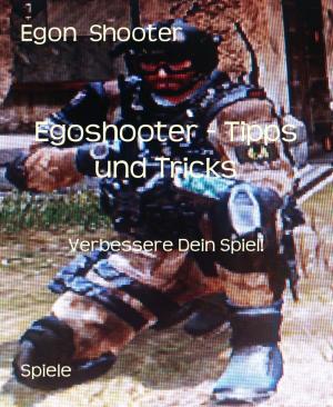 Cover of the book Egoshooter - Tipps und Tricks by Noah Daniels