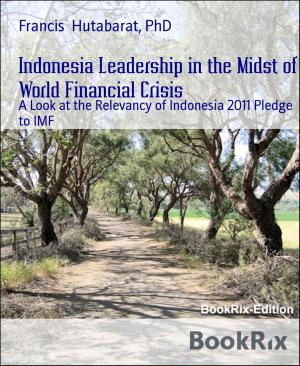 Cover of the book Indonesia Leadership in the Midst of World Financial Crisis by Ayodeji Melefa