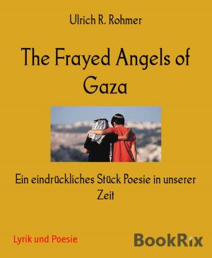 Book cover of The Frayed Angels of Gaza