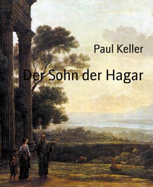 Cover of the book Der Sohn der Hagar by Horatio Alger, Jr.