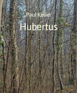 Cover of the book Hubertus by Luise Hakasi