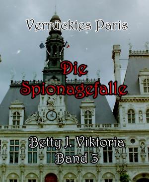 Cover of the book Verrücktes Paris Band 3 by David Kristoph, Danny McAleese