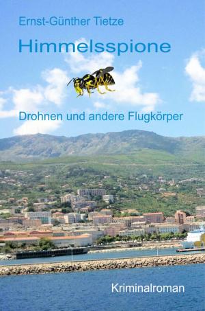 Cover of the book Himmelsspione by Daniel Karl Göhler