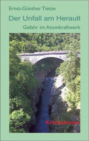 Cover of the book Der Unfall am herault by Ava Minatti