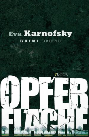 Cover of the book Opferfläche by Lotte Minck