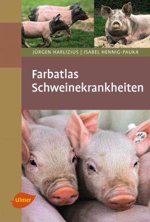 Cover of the book Farbatlas Schweinekrankheiten by Matthias Gebhard-Rheinwald