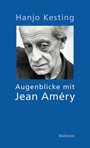 Cover of the book Augenblicke mit Jean Améry by Joseph Roth, Helmut Peschina, Rainer-Joachim Siegel