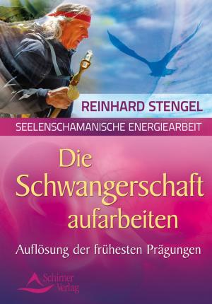 Cover of the book Die Schwangerschaftsmonate aufarbeiten by Thorsten Weiss