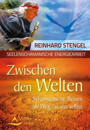 Cover of the book Zwischen den Welten by Reinhard Stengel
