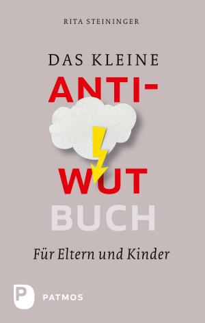 Cover of the book Das kleine Anti-Wut-Buch by Ingrid Riedel