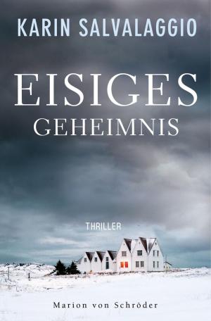 Book cover of Eisiges Geheimnis