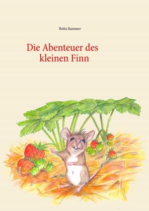 Cover of the book Die Abenteuer des kleinen Finn by Christoph Däppen