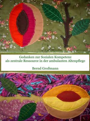 Cover of the book Gedanken zur Sozialen Kompetenz als zentrale Ressource in der ambulanten Altenpflege by Anna Ohnmacht
