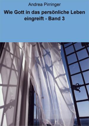 Cover of the book Wie Gott in das persönliche Leben eingreift - Band 3 by Andre Sternberg