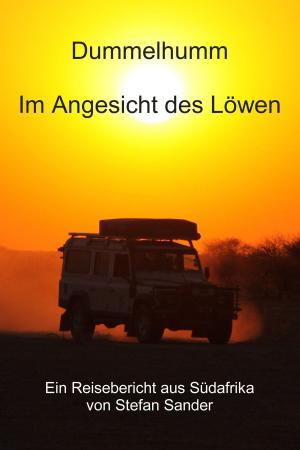 bigCover of the book Dummelhumm - Im Angesicht des Löwen by 